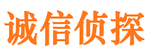 泰安市私家侦探